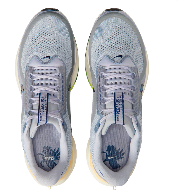 Nike Pegasus Premium Men's Running Shoes – Cool Grey / Wolf Grey